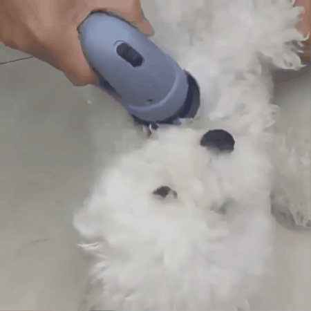 Aspiradora Removedor De Pelo De Mascotas